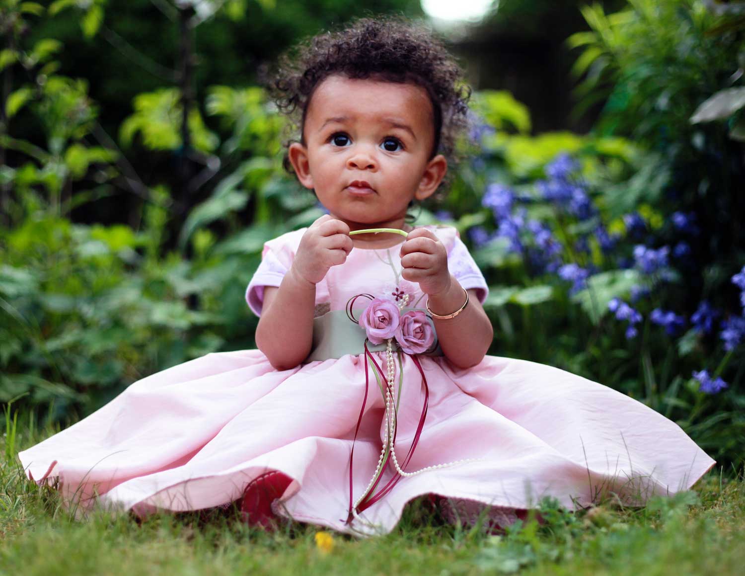 Toddler in a pink dress sitting on the grass beside bluebells during a garden family shoot